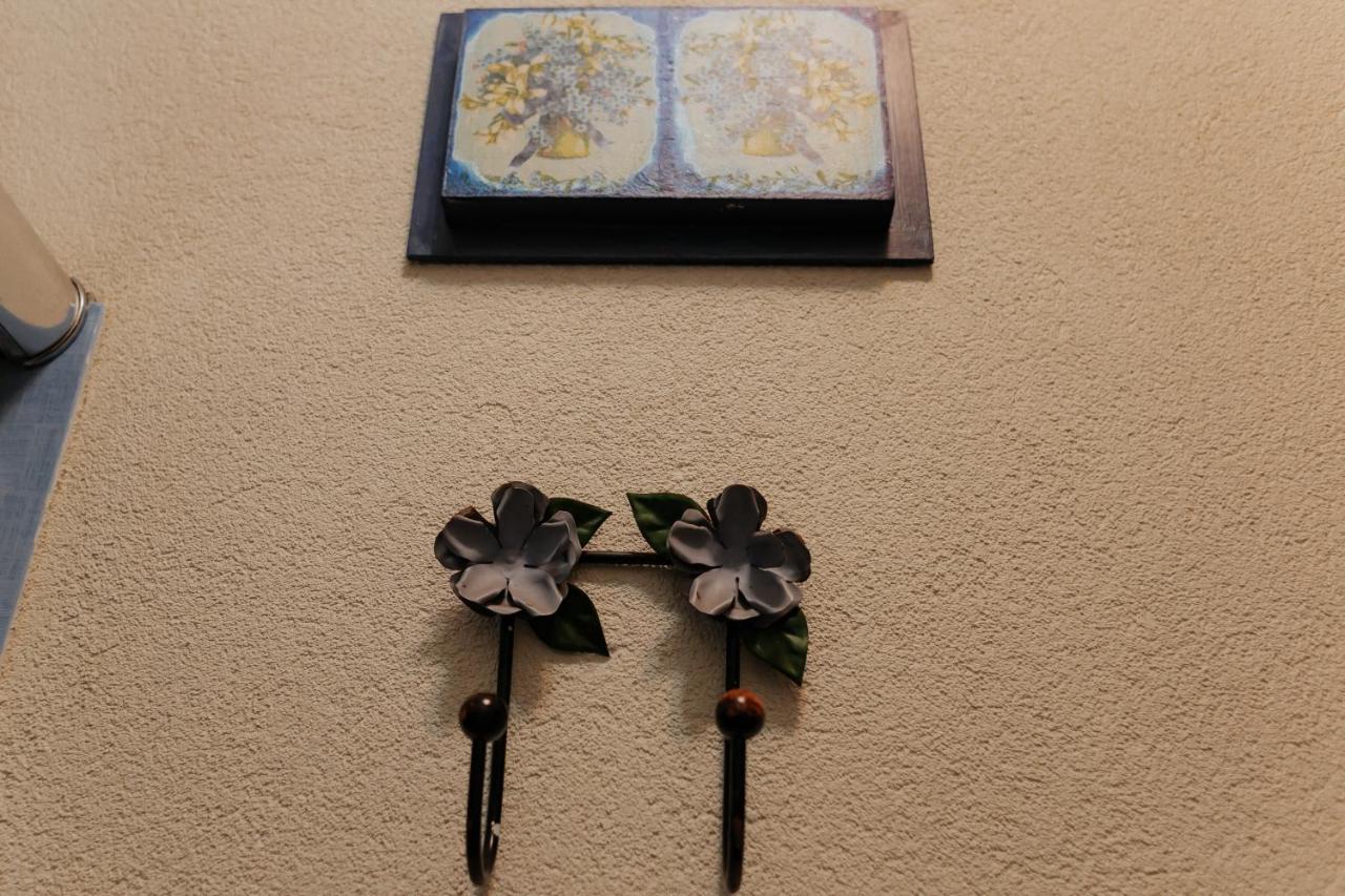 Hotel Pousada Chale Das Flores Sertãozinho Exteriör bild